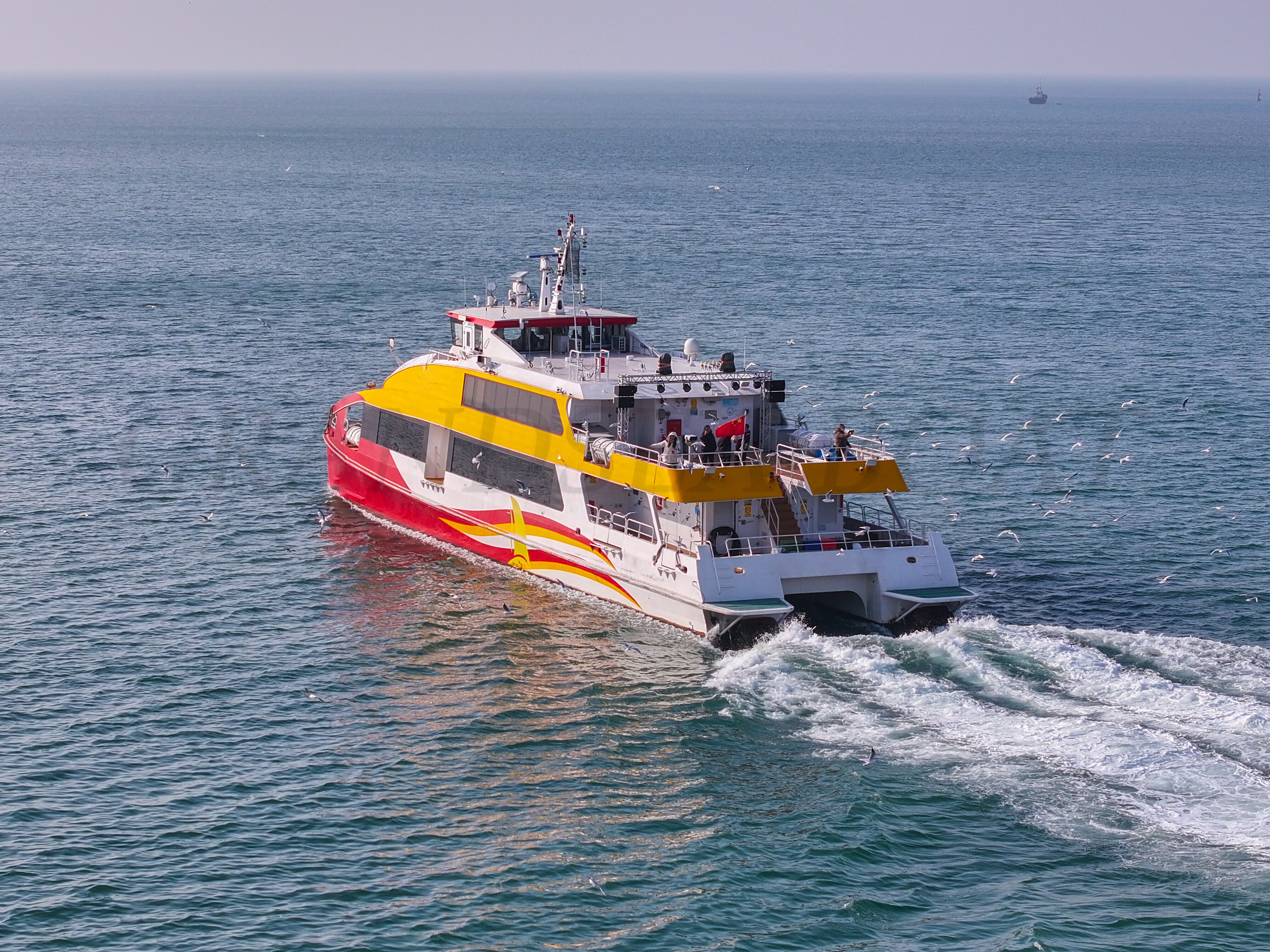 出售Grandsea 350名乘客35米/115英尺双体渡轮