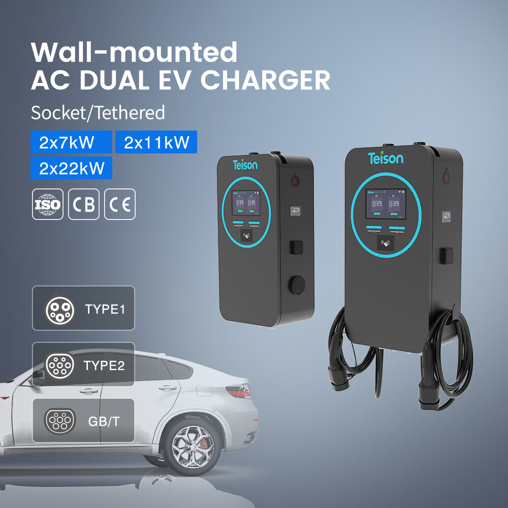 Настенная двойная 22 главное изображение 20250625