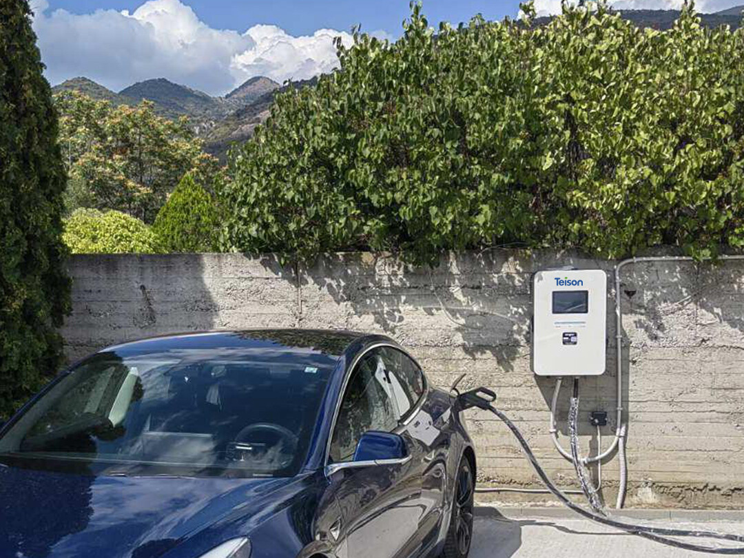 Быстрое зарядное устройство Teison 20kW DC MINI EV установлено в Болгарии，2025