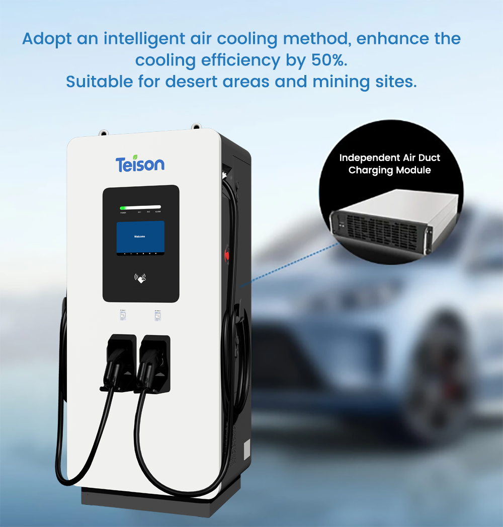 Главное изображение0000