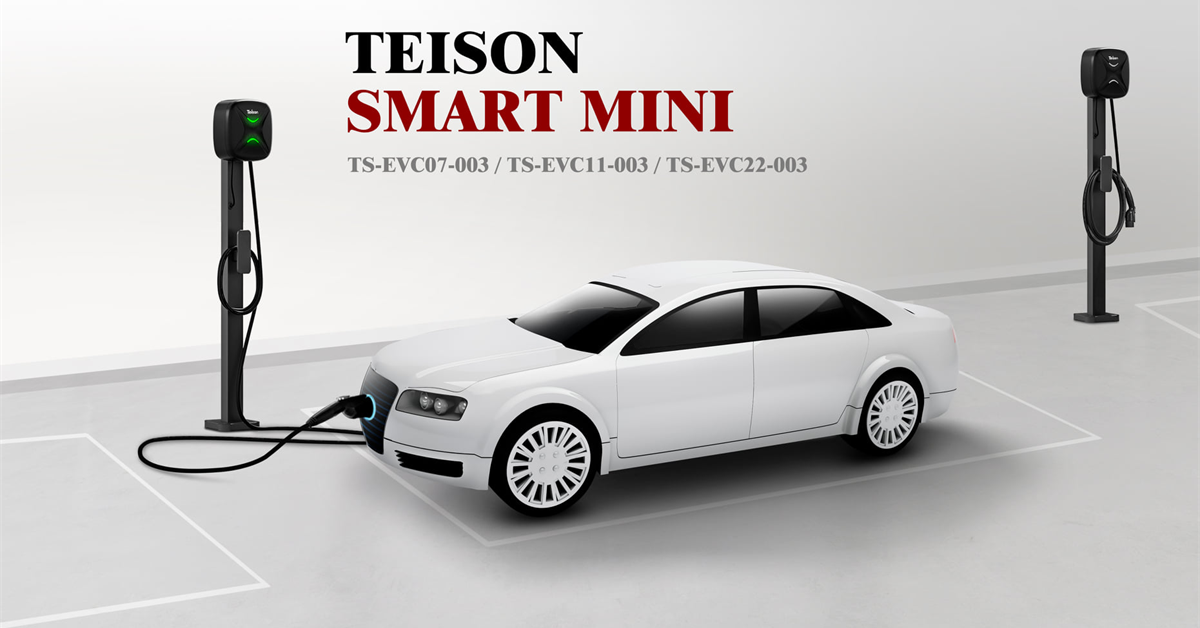 Франция приложила большие усилия для улучшения вспомогательных средств для электромобилей