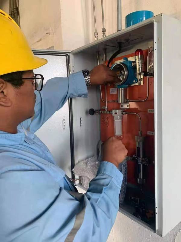 Can Paramagnetic Oxygen Analyzers Measure Trace Oxygen Levels Accurately?