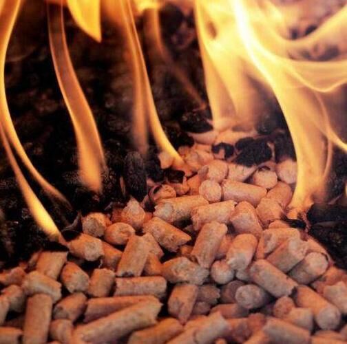 image.jpeg image.jpeg