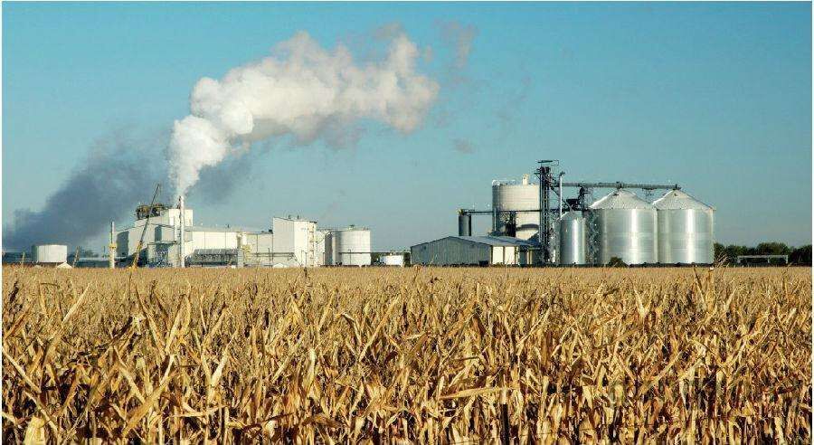 dual carbon-.jpeg dual carbon-.jpeg