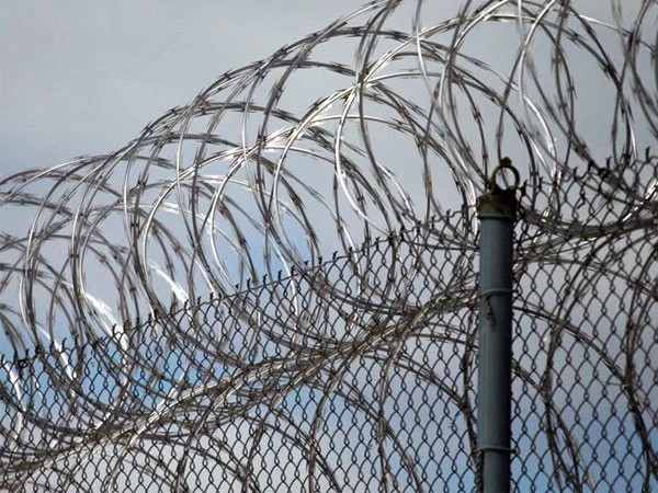 Dây thép gai lưỡi dao 03 1