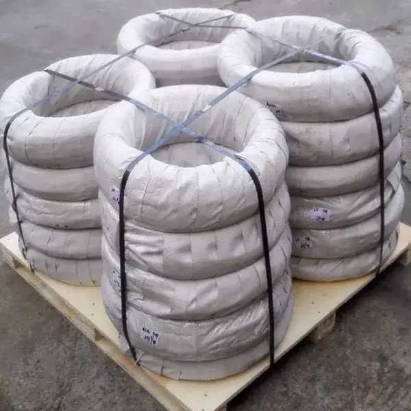 Stainless Steel Wires 04 3