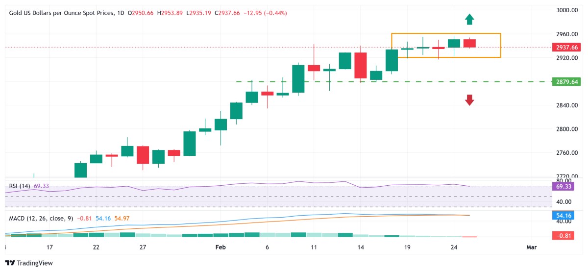 1740472871752931555322269696.png fxsoriginal