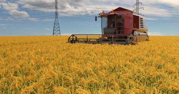 TMGM：黑海粮食协议今日到期，各方急待俄方回应