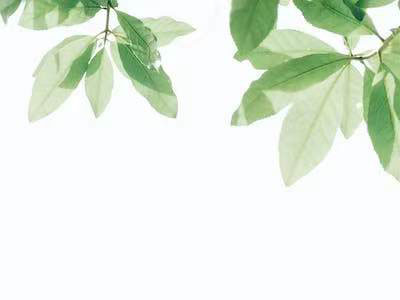 再生橡胶可显着降低产品成本