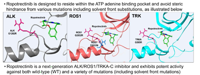 Shop Repotrectinib/TPX-0005-Detailed Image 1