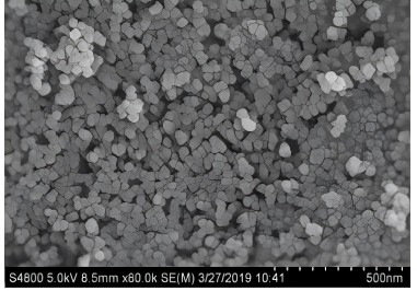 Introduction OF negative carbon bio-based silica (1).png