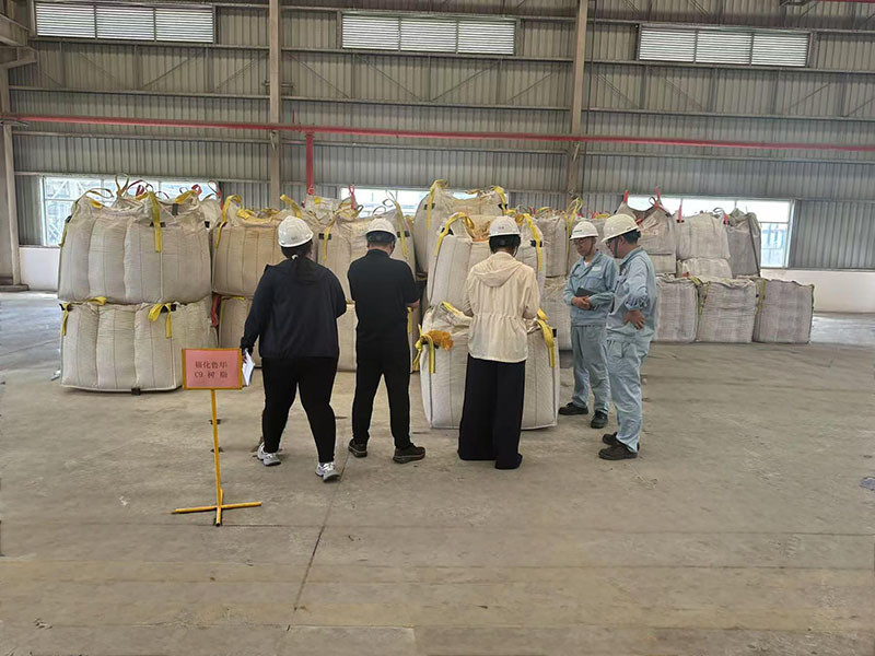 Sailun Tire Came to Our Company For Factory Inspection (2)