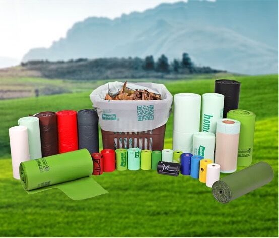 图片 1.jpg 图片 1.jpg