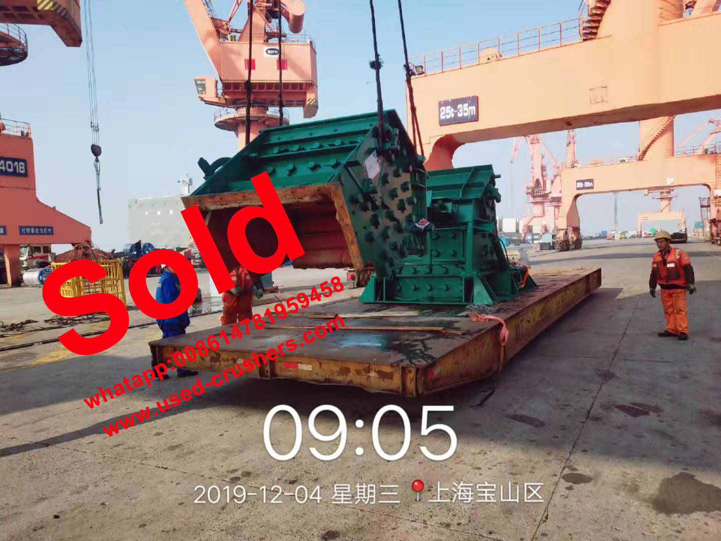 кедровый рапид 3042