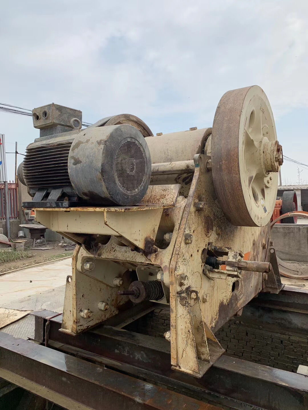 КОРНИ ЧЕЛЮСТИ C-100