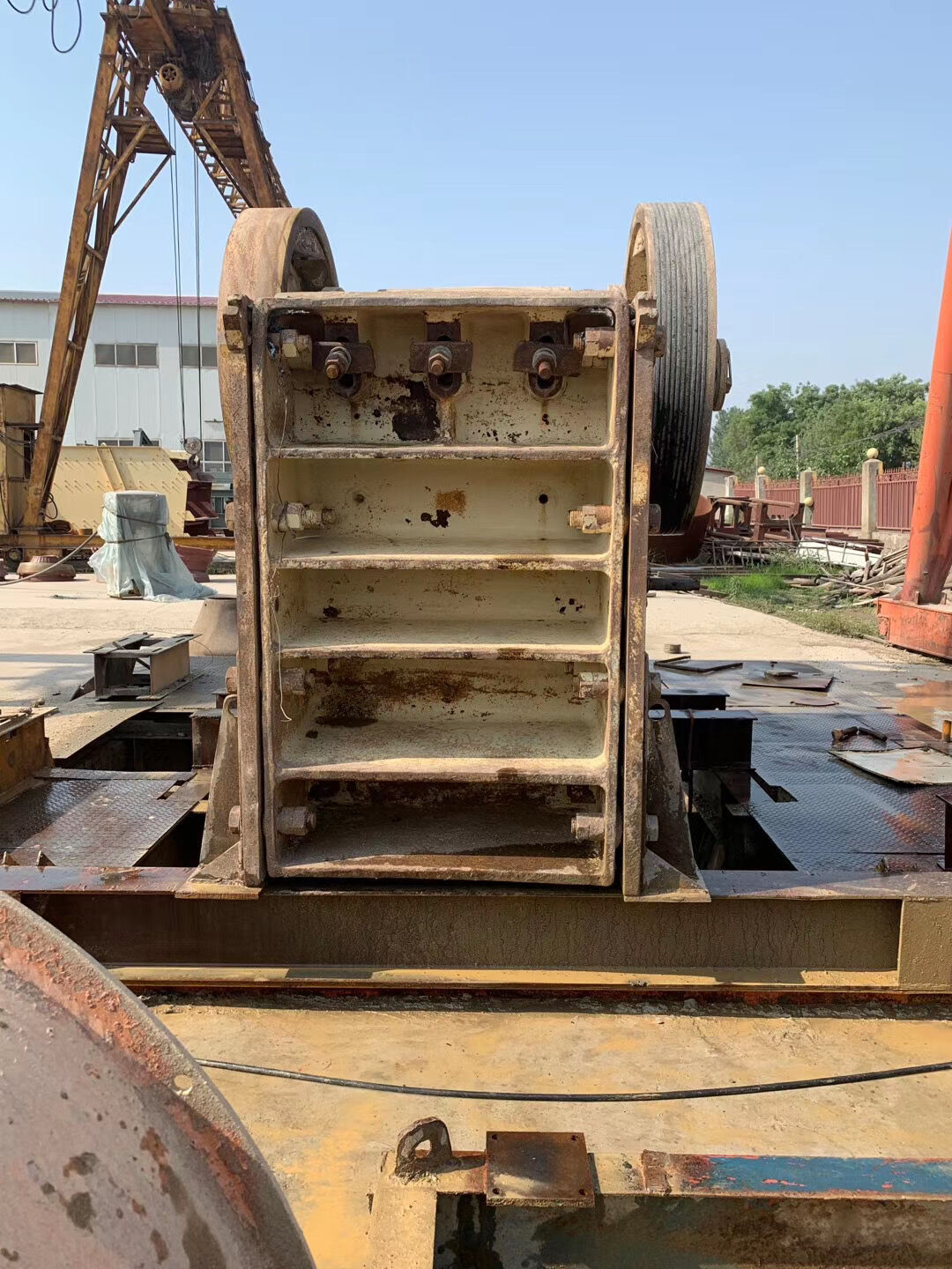 КОРНИ ЧЕЛЮСТИ C-100