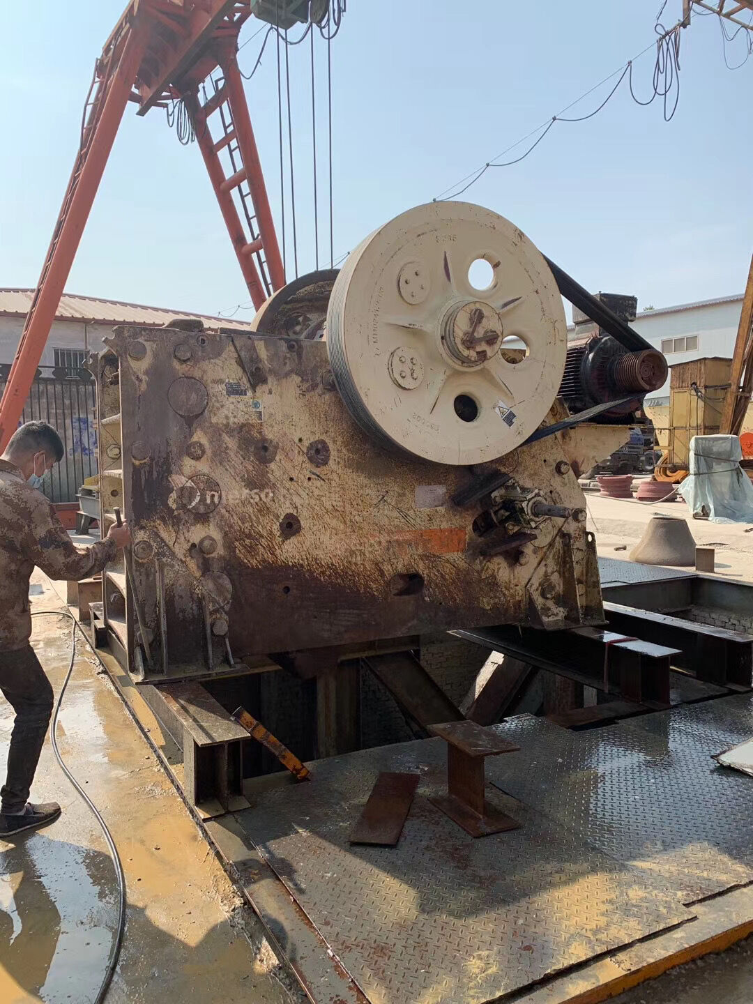 КОРНИ ЧЕЛЮСТИ C-100