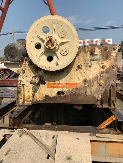 КОРНИ ЧЕЛЮСТИ C-100