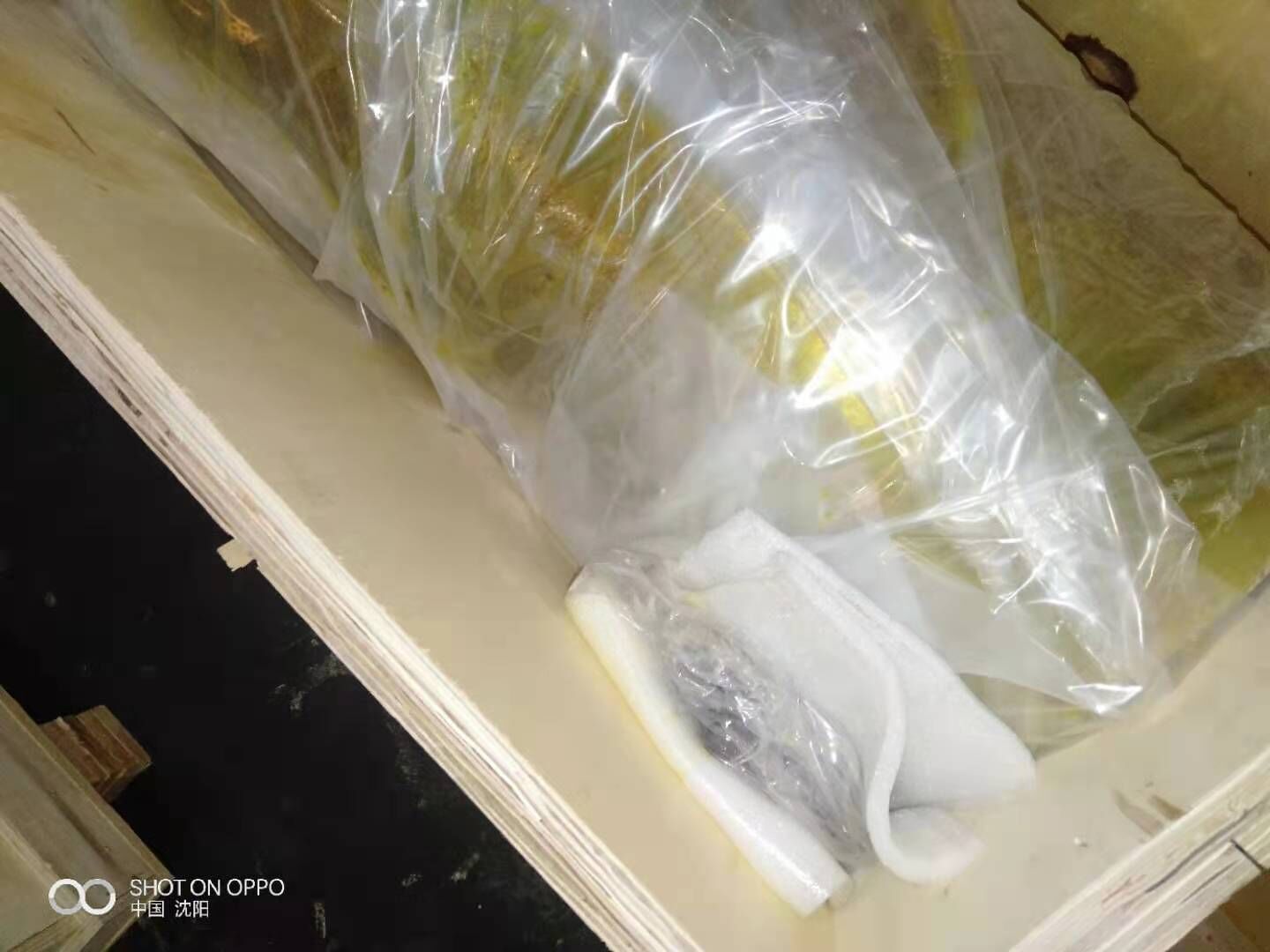 корень HP5 N98000545