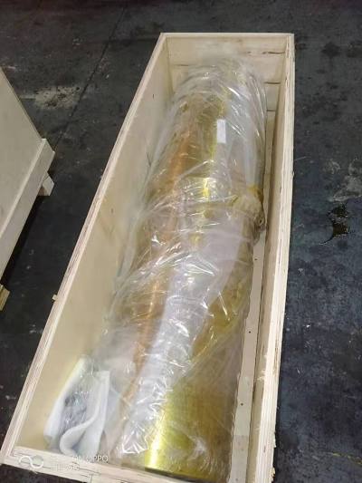 корень HP5 N98000545