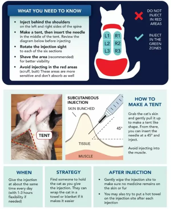 FIP Treatment Injection