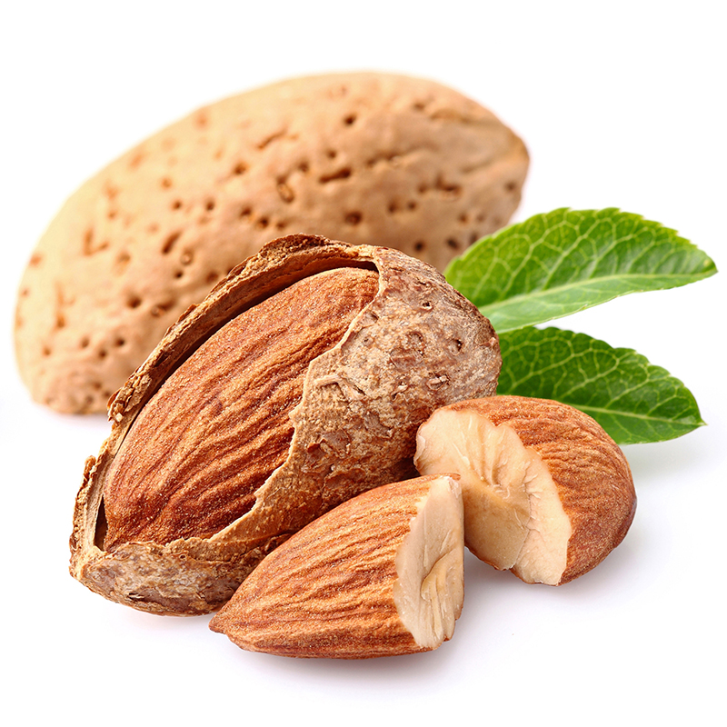 新雷商行西藏拉萨市