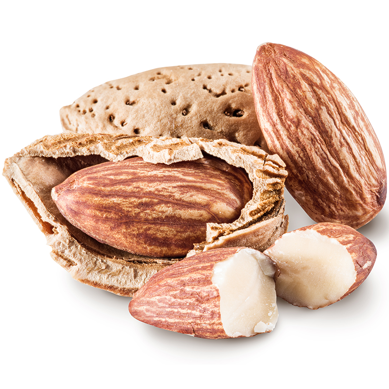 新雷商行陕西西安市