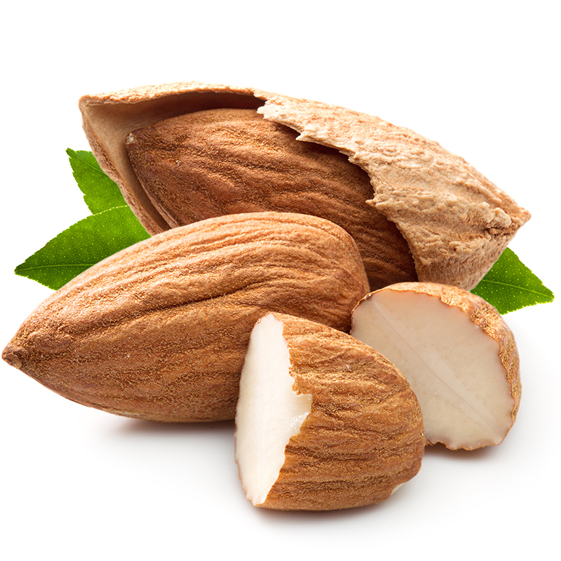 新雷商行青海西宁市