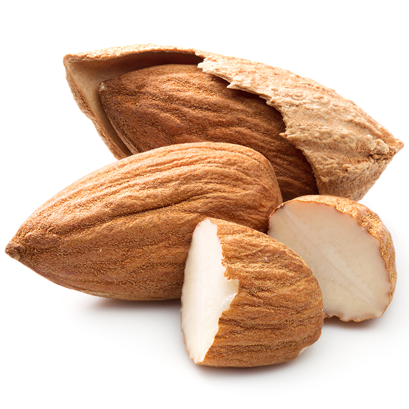 新雷商行宁夏银川市