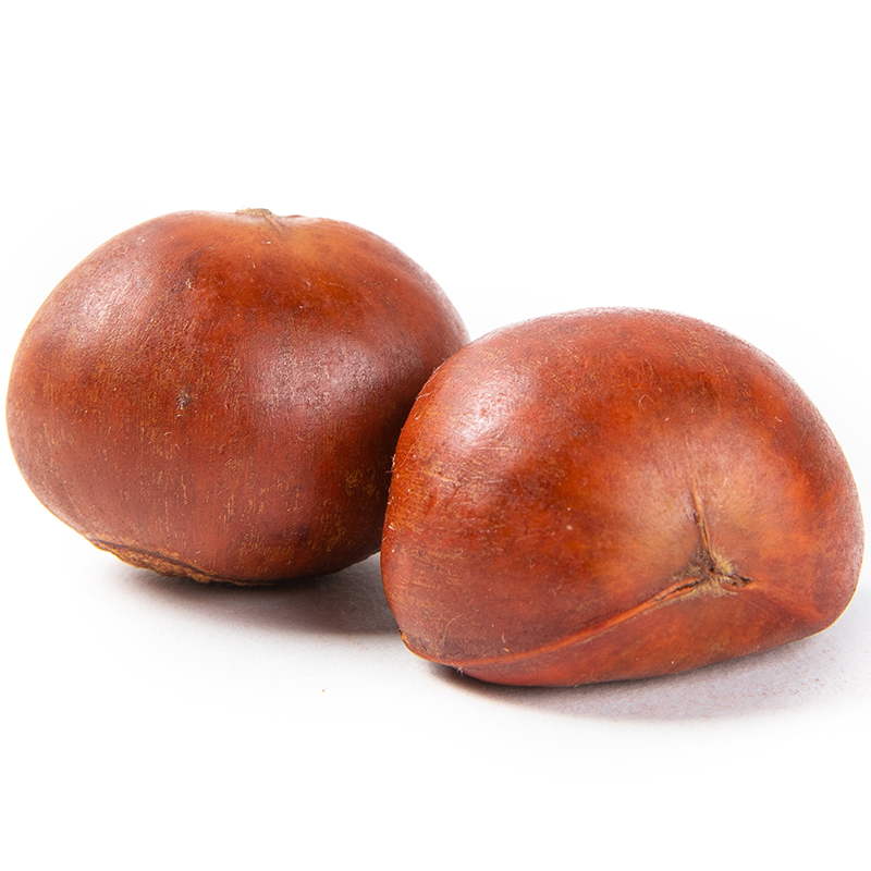 新雷商行澳门花地玛