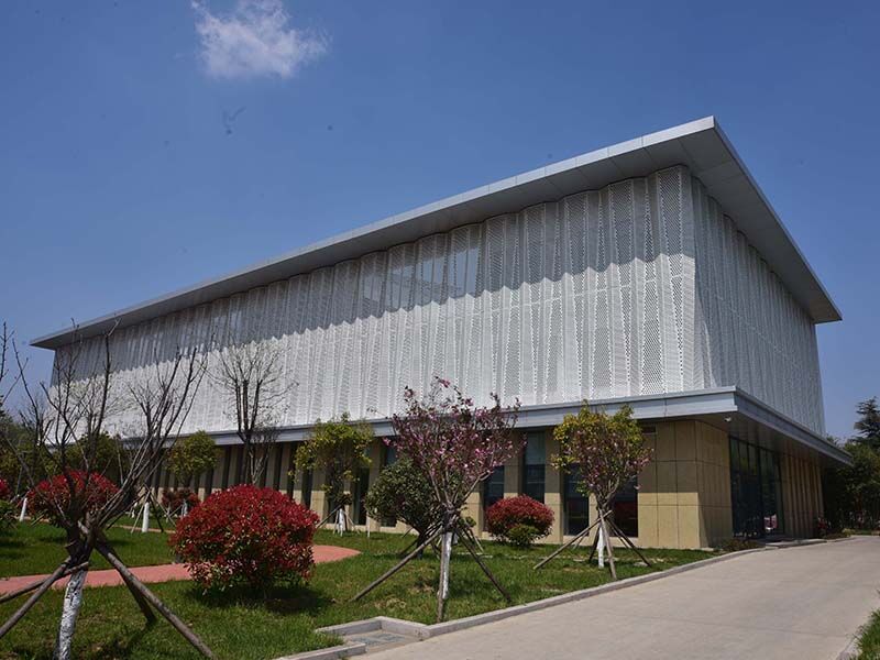 Проект ресторана правительства района Ланьшань