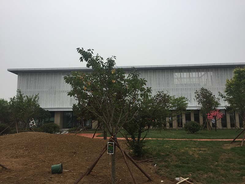 Проект ресторана правительства района Ланьшань