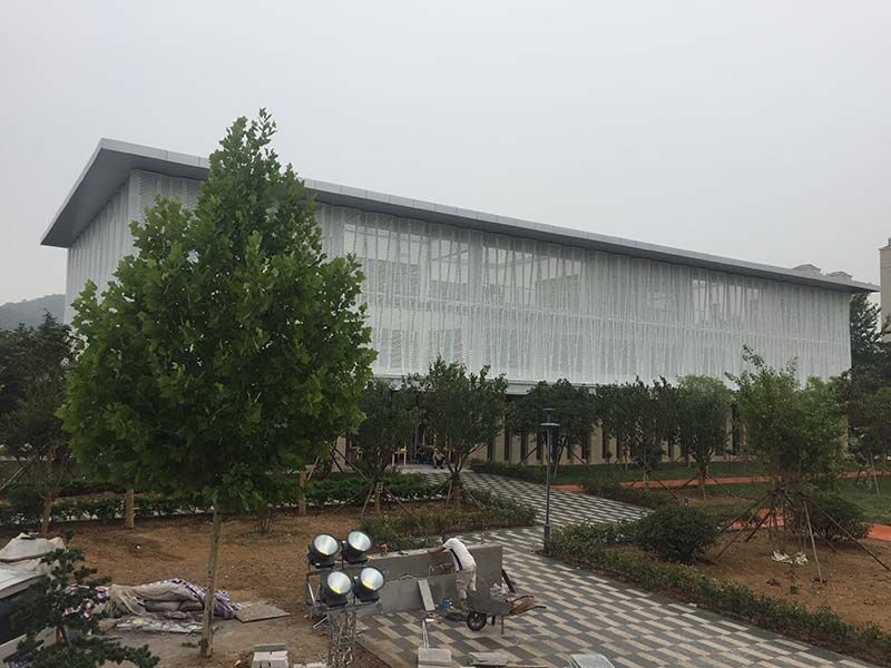 Проект ресторана правительства района Ланьшань