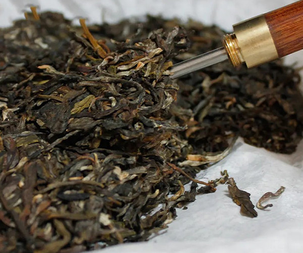 Jingmai Mountain-Pu'er Tea