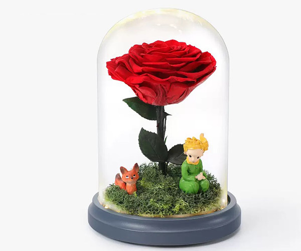 Preserved Flowers Little Prince Rose