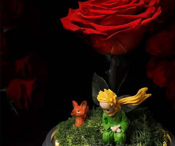 Preserved Flowers Little Prince Rose