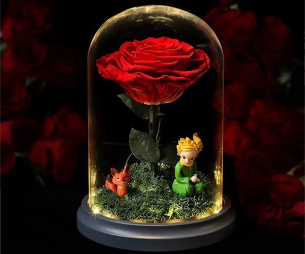 Preserved Flowers Little Prince Rose