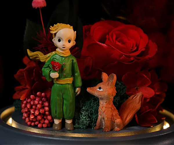 Preserved Flowers Little Prince Rose