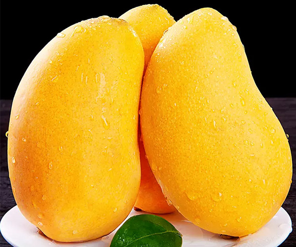 Yunnan Small Tainong Mango