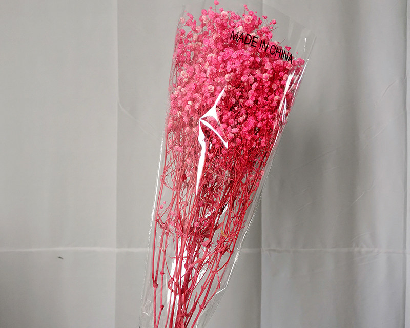 Preserved baby breath