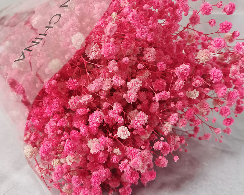 Preserved baby breath