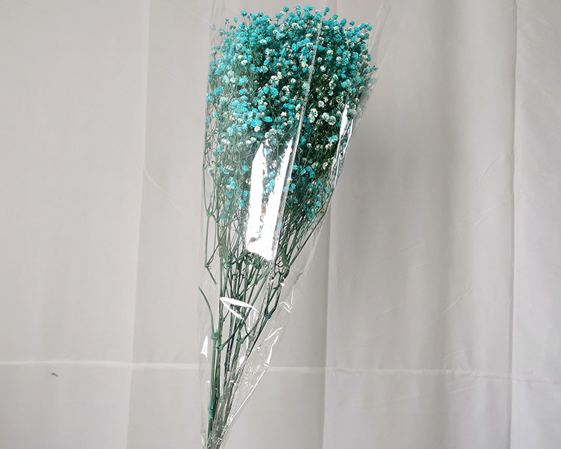 Preserved baby breath