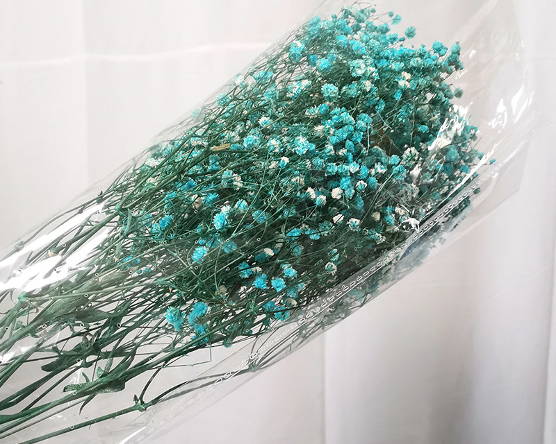 Preserved baby breath