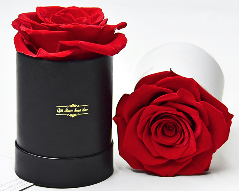 Preserved  rose in box