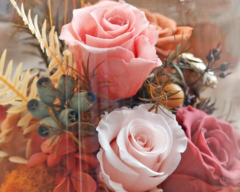 Preserved Rose in Glass Dome