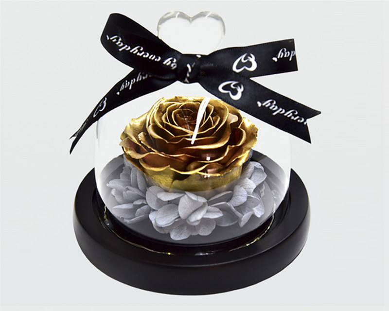 Preserved rose in glass cover