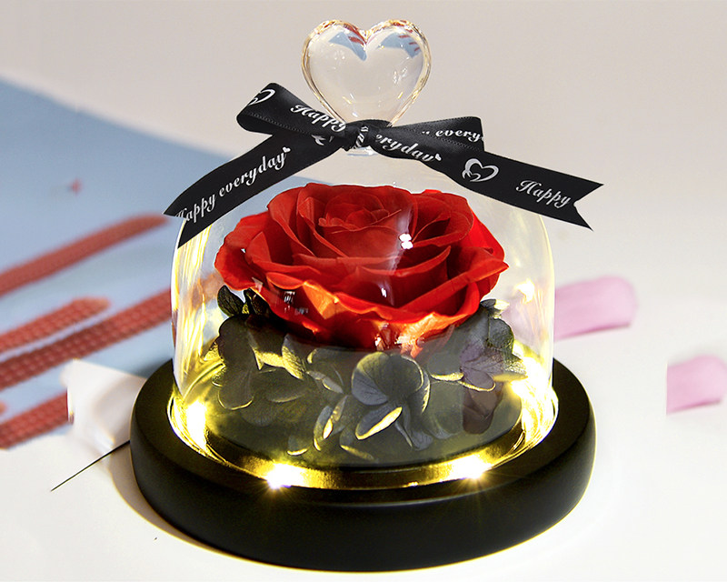 Preserved rose in glass cover