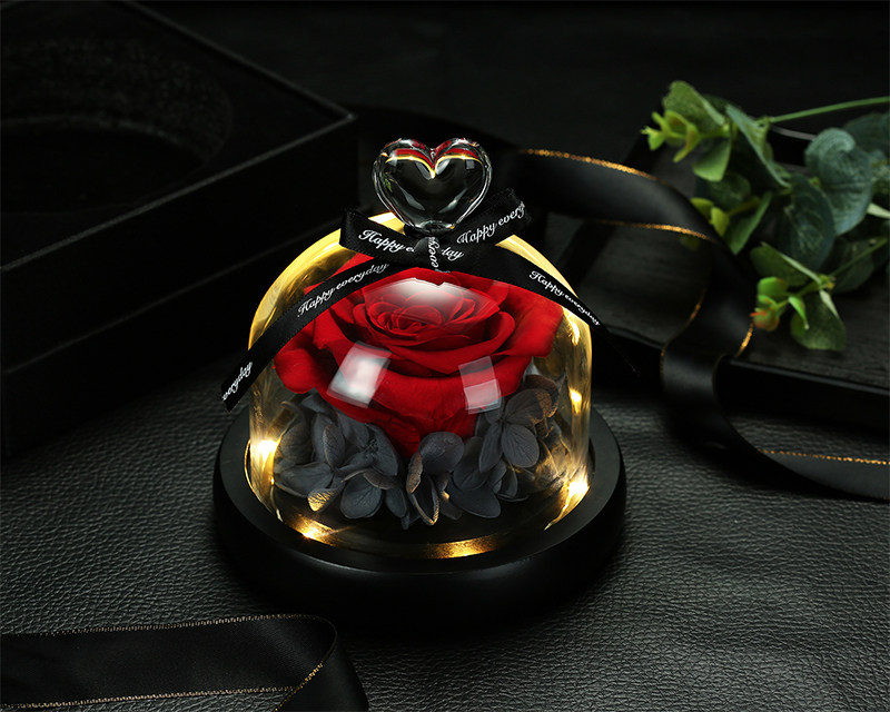 Preserved rose in glass cover