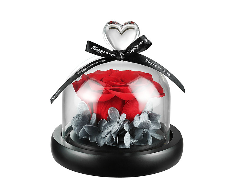 Preserved rose in glass cover