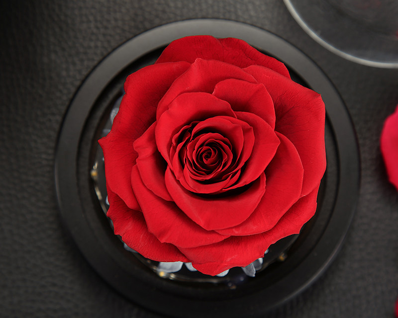 Preserved rose in glass cover